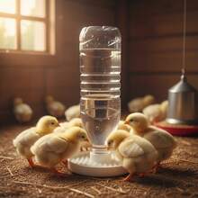 防溺水小雞飲水器;小雞與小鴨自動飲水器;適用於礦泉水瓶(直徑約 2.4cm/0.94in);家禽育雛必備護理用品 - 3D列印餵食器 - 查看 7