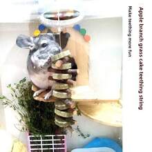 Hanging Durable Rabbit Chew Apple Branch Grass Cake Stick Edible Hamster Chew Treats - View 3