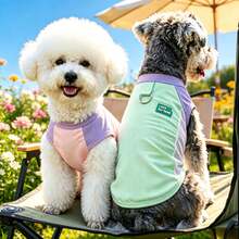DomKim Dog Summer Cooling Vest, UV Protection, Insect Repellent, Breathable Mesh Design, Suitable For Outdoor Sports Sun Protection, Dog Cooling Vest, Dog Sun Protection T-Shirt, Dog Sun Protection Clothing, Suitable For Small, Medium And Large Dogs - Mint Green - View 11