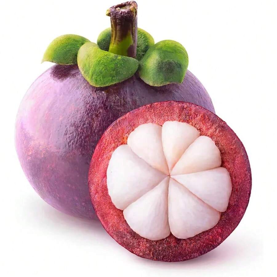 90 Papaya Seeds Sweet Evergreen - 90 - View 1