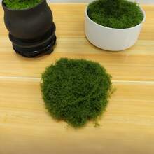 300g/50g 人造苔蘚 合成草皮地毯 仙女花園微景觀裝飾 柔軟DIY手工材料 盆栽植物苔蘚景觀設計 戶外園藝用品 秋季房間裝飾 萬聖節聖誕居家裝飾 - 多款式 - 查看 2