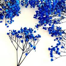 25/50/100/150/300pcs Mini Baby's Breath And Other Artificial Flowers - For Resin Mold Art And Handicrafts, Colorful Flower Bunches For Hair Accessories, Wedding Wreaths, Table Flowers, Home Decor, Etc. - For Resin Mold Art And Handicrafts, Ivory White Flower Bunches For Hair Accessories, Wedding Wreaths, Table Flowers And Home Decor. - Royal Blue - View 5