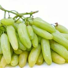 Finger Grape Heirloom Seeds - Sweet Fruit - Variant1 - View 3