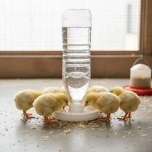 防溺水小雞飲水器;小雞與小鴨自動飲水器;適用於礦泉水瓶(直徑約 2.4cm/0.94in);家禽育雛必備護理用品 - 3D列印餵食器 - 查看 8