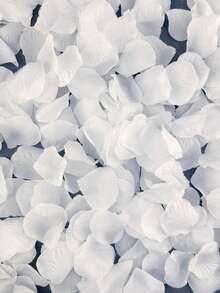 Pétalos de rosa artificiales, negro, dorado, naranja, blanco y multicolor, pétalos de flores artificiales, flores falsas, flores artificiales, adecuados para bodas, cestas de niñas de las flores, pasillos, centros de mesa, mesas, confeti, fiestas, regalos, decoración del hogar - Blanco - Ver 7