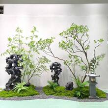 100*200cm/100*100cm/100g/10g Artificial Moss Carpet, Simulated Lawn, Mock Moss Micro Landscape Decoration, Suitable For Lawn, Potted Plants, Vases, Walkways, Valentine's Day Gift, Wall Decor, Kitchen Decor, Bedroom Decor, Autumn Home Decor, Halloween Decor, Christmas Living Room Decor - Green - View 6