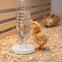 防溺水小雞飲水器;小雞與小鴨自動飲水器;適用於礦泉水瓶(直徑約 2.4cm/0.94in);家禽育雛必備護理用品 - 3D列印餵食器 - 查看 4