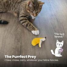 Catstages Dental Banana Catnip Chew Toy - Banana - View 6