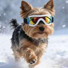 Small Dog Pet Sunglasses, Medium Cat Pet Sunglasses, Pet Goggles Also Can Be Used As Photography Glasses - Multicolor - View 2