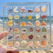 36-Slot Transparent Plastic Specimen Display Box, Magnetic Acrylic Seashell Collection Box With Carrying Handle - Transparent Seashell Storage Box For Collecting Beach Findings, Small Stones, Minerals And Handicrafts - One Size Fits All - View 8