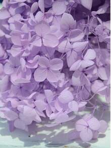 1 Caja de Flores Artificiales, Hortensias Falsas Multicolor - Perfectas para Manualidades DIY, Velas, Bodas, Proyectos Hechos a Mano, Navidad - Púrpura claro - Ver 3