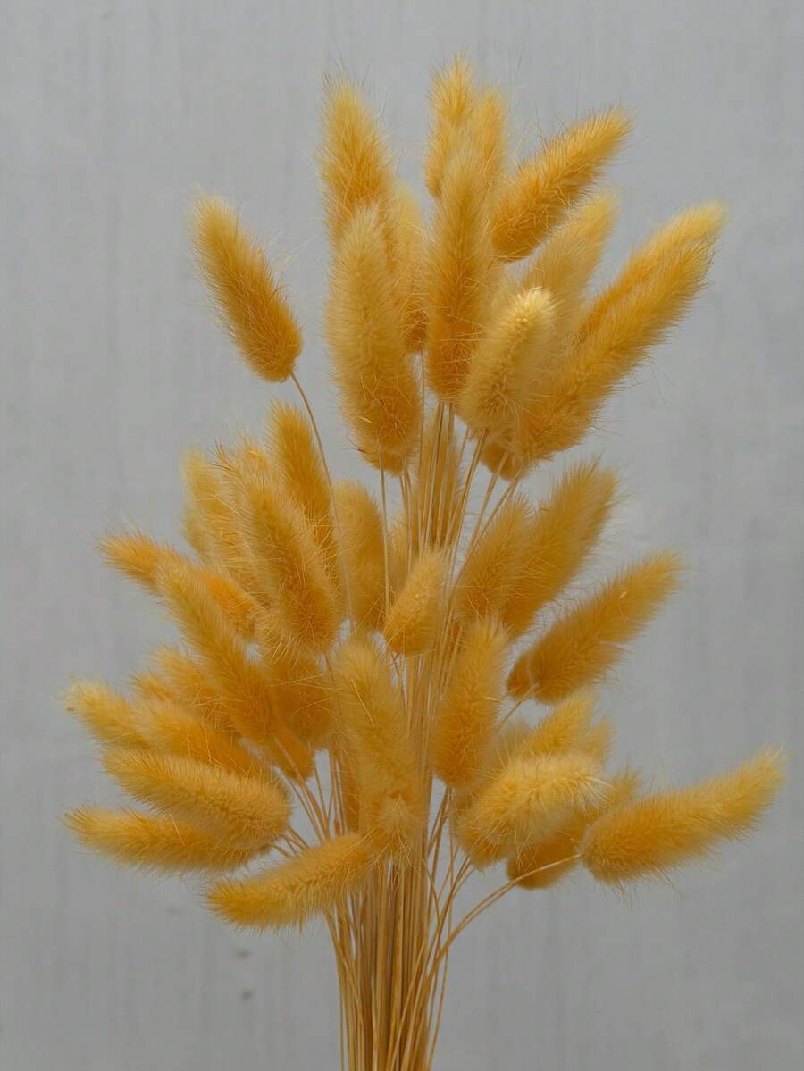 60支-16.5英吋紅色人造兔尾草，居家裝飾人造兔尾草莖，適用於波西米亞風格花藝布置、DIY手工藝、居家廚房與婚禮裝飾、聖誕裝飾、聖誕感恩節裝飾、DIY花環裝飾 - 橙色兔尾草1 - 查看 1