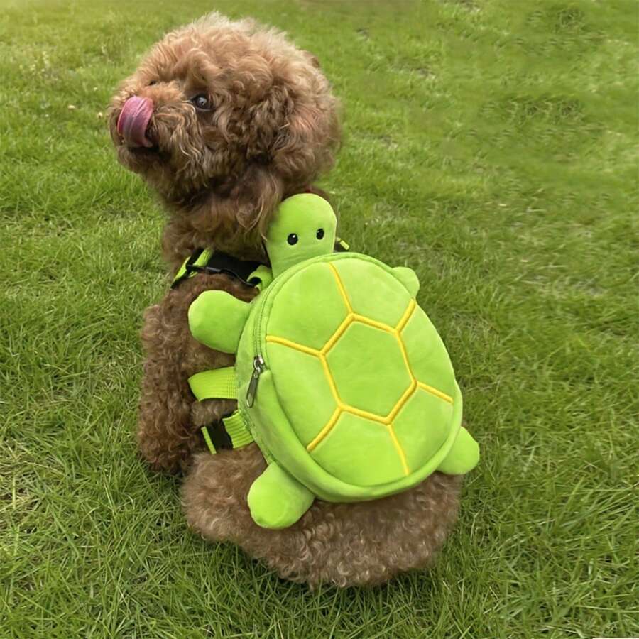 1pc Pet Dog Shoulder Backpack, Cat Outdoor Backpack, Turtle Bag. Can Hold Pet Snacks, Water. Suitable For Small And Medium-Sized Dogs As Well As Cats.