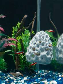 Shrimp Dome Hideaway House, Aquarium Fish Tank Tunnel With Suction Cup, Decor Accessories For Shrimp, Betta Fish And Other Small Fish To Hide And Rest - Multicolor - View 2