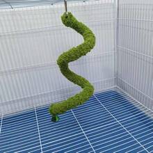 1Pc Parrot Toy, Green Climbing Rope, Rotating Climbing Rope, Bell Toy, Birdcage Ornament, Forest Themed Birdcage Decoration. - A - View 3
