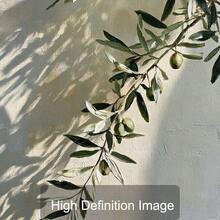 1件裝框/不裝框波希米亞風夏季橄欖枝植物帆布海報，義大利地中海牆面藝術印刷，極簡美學鄉村捲軸畫，適用於走廊、客廳、臥室，現代家居裝飾 - A - 查看 9