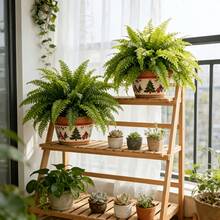 3件大尺寸逼真熱帶波士頓蕨類植物 - 亮綠色葉片，耐用塑料材質，適合室內外裝飾，聖誕節、感恩節、母親節、畢業典禮的理想選擇 - 綠色 - 查看 8
