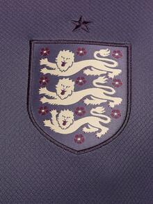 Nike 正版 Dri-FIT 男款圓領透氣夏季足球球衣 FJ4272-573 - FJ4272-573 - 查看 6
