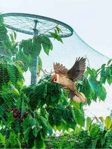 Garden Bird Netting, Expandable Large Mesh Reusable Breathable Protective Cover, Suitable For Vegetables, Fruit Trees And Plants, Effectively Blocks Animals And Insects, Easy Installation - A - View 5