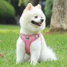 Lightweight Breathable New Pet Dog Leash Set, With Reflective Adjustable Harness And Dog Chest Strap, Suitable For French Bulldog Outdoor Walking, Leash And Collar Set, Soft Breathable Mesh Material, Suitable For Small/Medium Pets, All Season Use - Multicolor - View 6