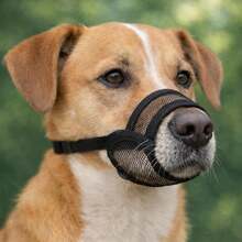 1pc Medium Dog Muzzle - Soft Muzzle Suitable For Medium Dogs, With Breathable Mesh | Stops Biting, Barking And Chewing | Allows Panting And Drinking - Multicolor - View 6