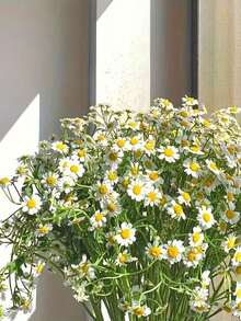 6件/12件/24件人造水仙花，仿真水仙花，適用於家居裝飾、母親節裝飾、婚禮裝飾、牆面裝飾、客廳裝飾、廚房裝飾、桌面人造花裝飾、婚禮中心裝飾、婚禮花卉裝飾 - 小雛菊 - 查看 5