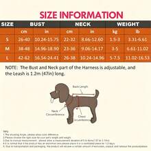 PETCHIC 復古格紋與航海風狗狗胸背帶與牽繩套組，可調節防窒息幼犬背心，附水手錨與波點印花，柔軟網布寵物胸背帶，適用小型犬、中型犬與貓 - 彩色 - 查看 7