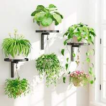 Wall Plant Hook Bracket With Integrated Hook Quick Installation Indoor Outdoor Universal Green Plant Storage Rack - Black - View 12