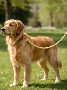 1 pieza Correa para perro antideslizante de color dopamina, mango suave y engrosado, cuerda trenzada de nailon fuerte y duradera, correa de entrenamiento cómoda, adecuada para perros pequeños, medianos y grandes para senderismo al aire libre, antitiro, antiescape, antipuerta para paseos al aire libre - Multicolor - Ver 7