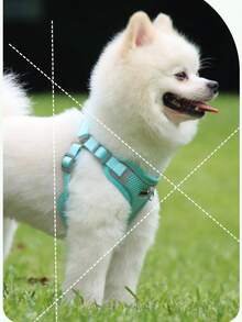 Lightweight Breathable New Pet Dog Leash Set, With Reflective Adjustable Harness And Dog Chest Strap, Suitable For French Bulldog Outdoor Walking, Leash And Collar Set, Soft Breathable Mesh Material, Suitable For Small/Medium Pets, All Season Use - Multicolor - View 10