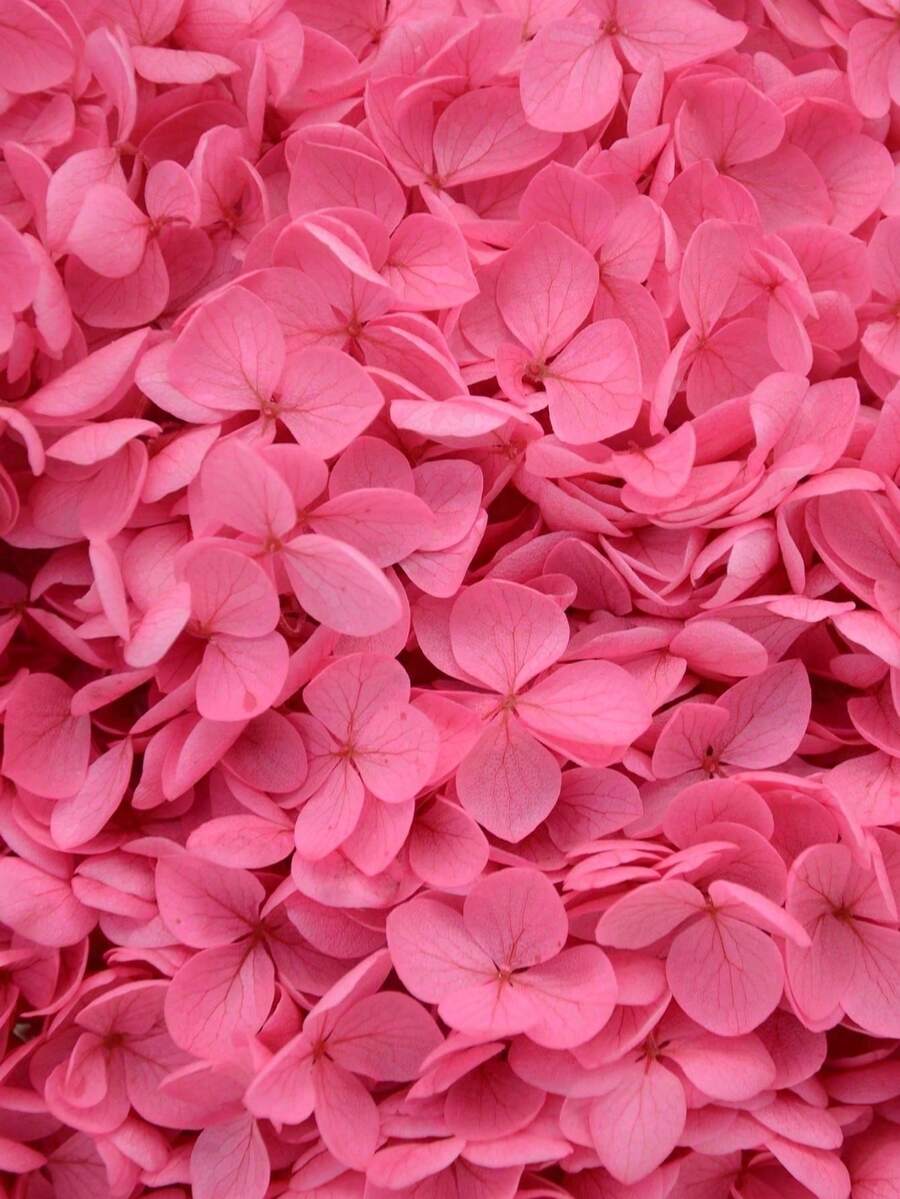1 Box Artificial Flowers, Multicolor Artificial Hydrangeas - Perfect For DIY Crafts, Candles, Weddings, Handmade, Christmas - Hot Pink - View 1