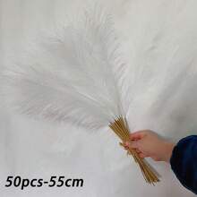 70/50/20/10/4/1pc 97/55cm Artificial Reed Grass, Bohemian Home Decor, Wedding Decoration, Outdoor Wedding, Spring Decor Gift, Birthday Graduation Gift, Autumn Home Decor, Back To School Room Decor, School Supplies - White - View 16