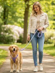 1 pieza Correa para perro antideslizante de color dopamina, mango suave y engrosado, cuerda trenzada de nailon fuerte y duradera, correa de entrenamiento cómoda, adecuada para perros pequeños, medianos y grandes para senderismo al aire libre, antitiro, antiescape, antipuerta para paseos al aire libre - Multicolor - Ver 4