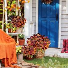 5 piezas de Crisantemo y Margarita Artificiales, Planta de Otoño Resistente a los Rayos UV para Exterior/Interior, Adecuada para Decoración de Jardín, Porche, Boda, Balcón, Habitación, Oficina, Decoración del Festival de Cosecha de Otoño, Ramo de Novia DIY, Festival de Cosecha, Halloween - marrón café - Ver 7