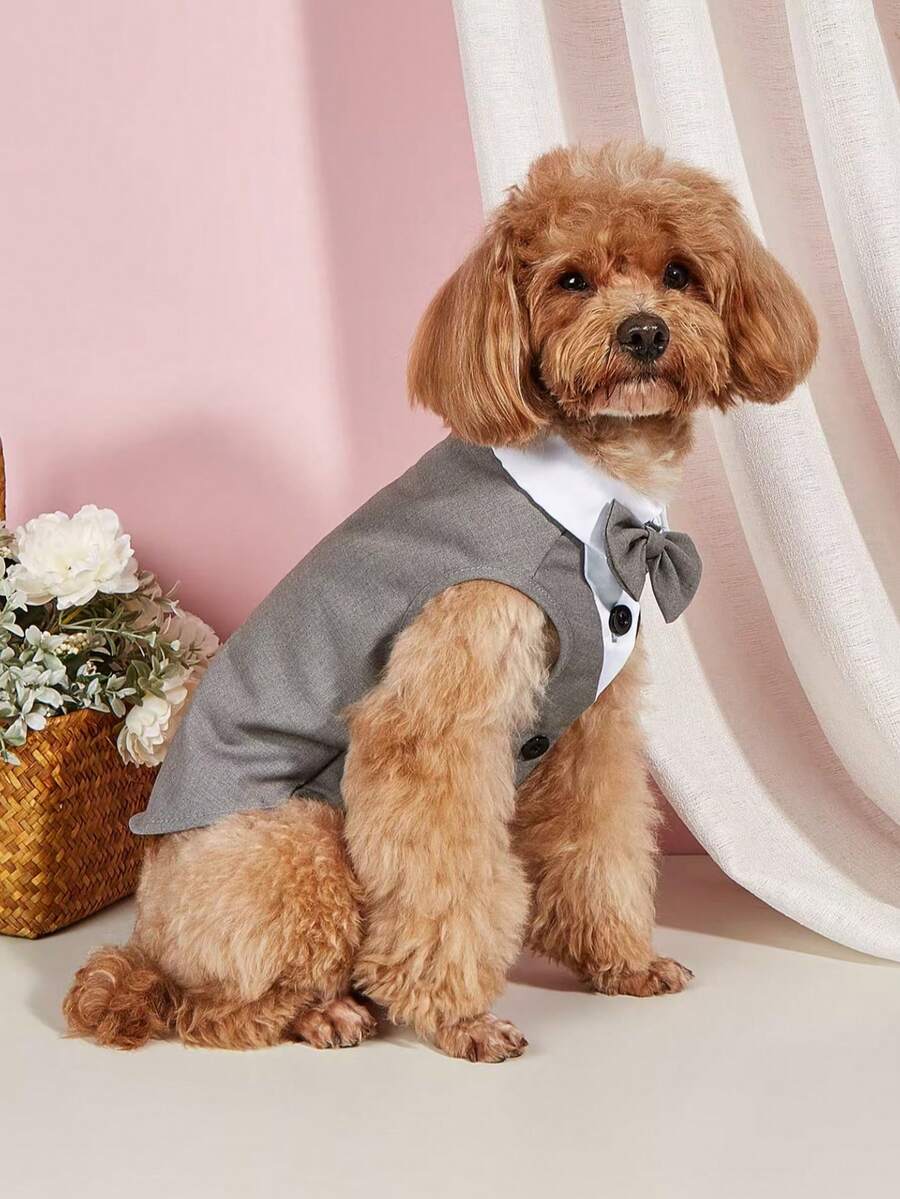1件寵物狗西裝外套婚禮系列經典鈕扣西裝,適合小型/中型犬、貓,適用於貓狗婚禮派對 - 灰色 - 查看 1
