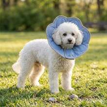 Dog Head Cover Post-Surgery Recovery Anti-Licking Collar Soft Comfortable Elizabeth Collar Adjustable Dog Protective Shield - View 2