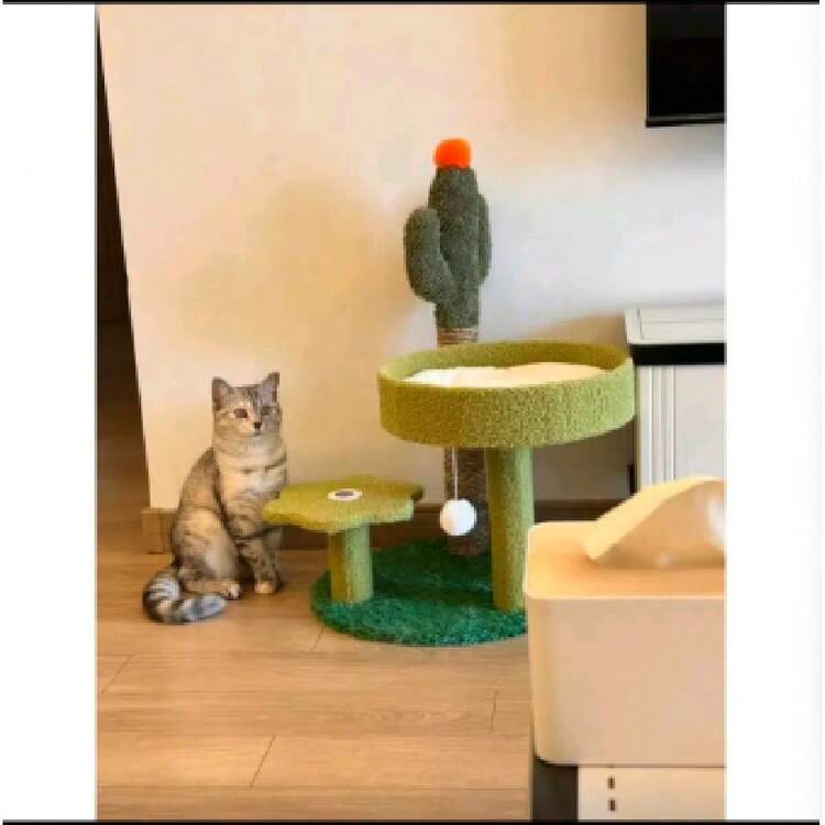 Cat Trees & Condos - 綠色 - 查看 3