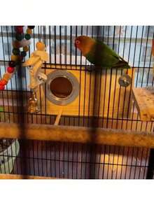 1 Wooden Parrot Breeding Box, Hatching Nest Box, Vertical Bird Nest, Insulated Nest Box, Bird Breeding Cage, Suitable For Cockatiels And Paired Birds, Aviary Accessory, Pet Supply, Transparent Viewing Window, Applicable To Various Birds And Paired Bi - A - View 7