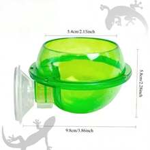 Chameleon Bowl, Reptile Feeder, Live Insect Feed Container, Water Dish, Chameleon Specialized Reptile Stone Platform Suction Cup Feeder, Chameleon Supplies Accessories (Suitable For Chameleons, Geckos, Snakes) - Style A - View 2