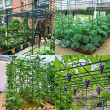 40pcs/Set Green Garden Trellis, Includes 20 Stakes + 10 Connectors + 10 Clips, For Grape, Cucumber, Bean Vine Climbing, Rose Support Pole, Adjustable Height Modular Design, Suitable For Vegetable And Fruit Vine Plants - Stand Combination Kit - View 2