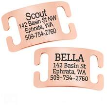 Custom Engraved Slide-On Pet ID Tag, Stainless Steel - Multicolor - View 3