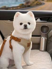 Cute Bear Pattern Pet Harness And Leash Set Breathable Soft Material No Pull Design Anti-Escape For Small Medium Dogs Outdoor Walking Daily Use - Multicolor - View 5