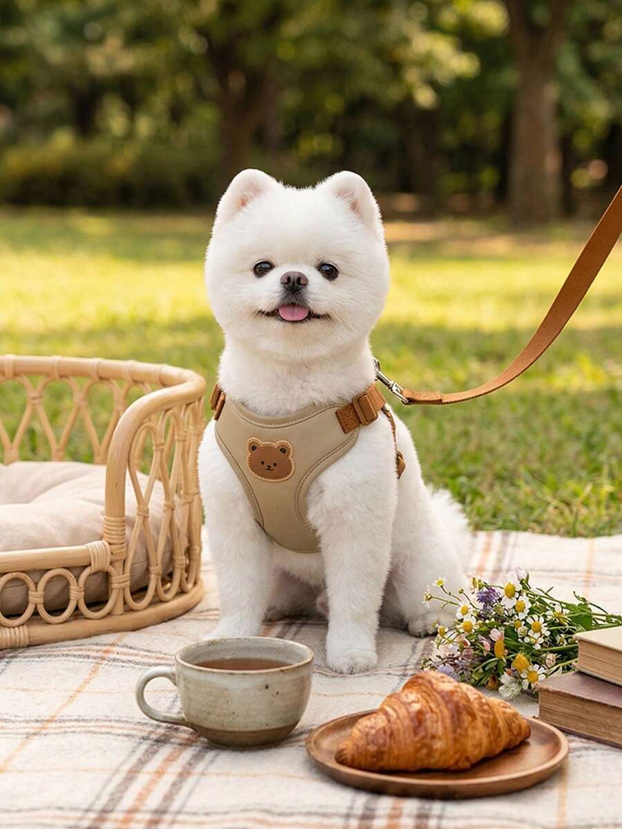 Cute Bear Pattern Pet Harness And Leash Set Breathable Soft Material No Pull Design Anti-Escape For Small Medium Dogs Outdoor Walking Daily Use - Multicolor - View 1