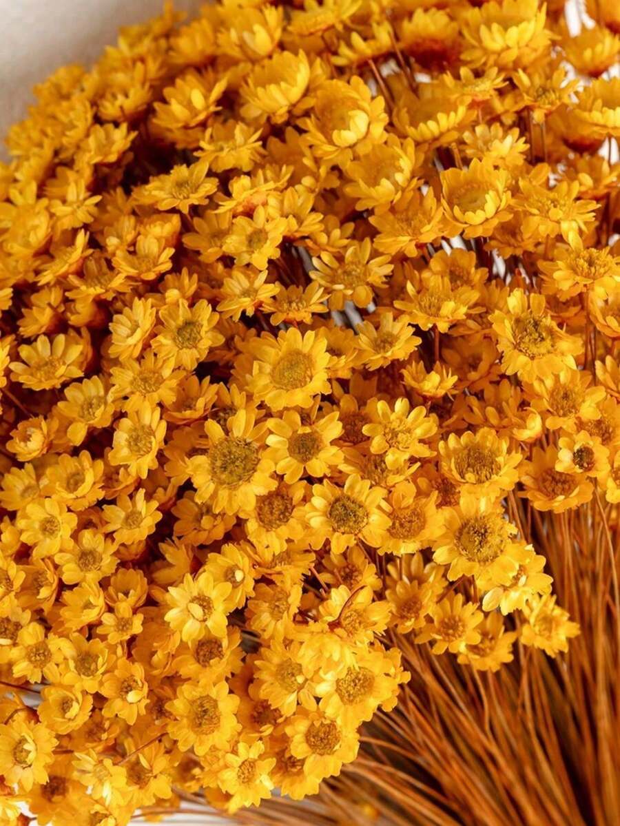 30/60/100/200pcs Artificial Brazilian Star Flower, Mini Daisy Chamomile Bouquet For Wedding Floral Decoration, Home Decor, Valentine's Day Gift - Yellow Orange - View 1