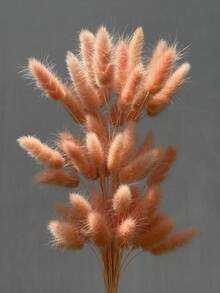 60支-16.5英吋紅色人造兔尾草，家居裝飾人造兔尾草莖，適用於波希米亞風格花藝、DIY手工、居家廚房與婚禮裝飾、聖誕裝飾、聖誕感恩節裝飾、DIY花環裝飾 - 橙粉紅色兔尾草 - 查看 4