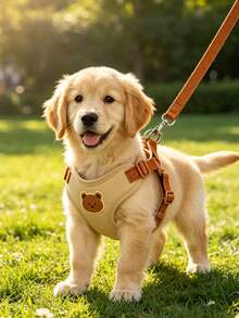 Cute Bear Pattern Pet Harness And Leash Set Breathable Soft Material No Pull Design Anti-Escape For Small Medium Dogs Outdoor Walking Daily Use - Multicolor - View 8