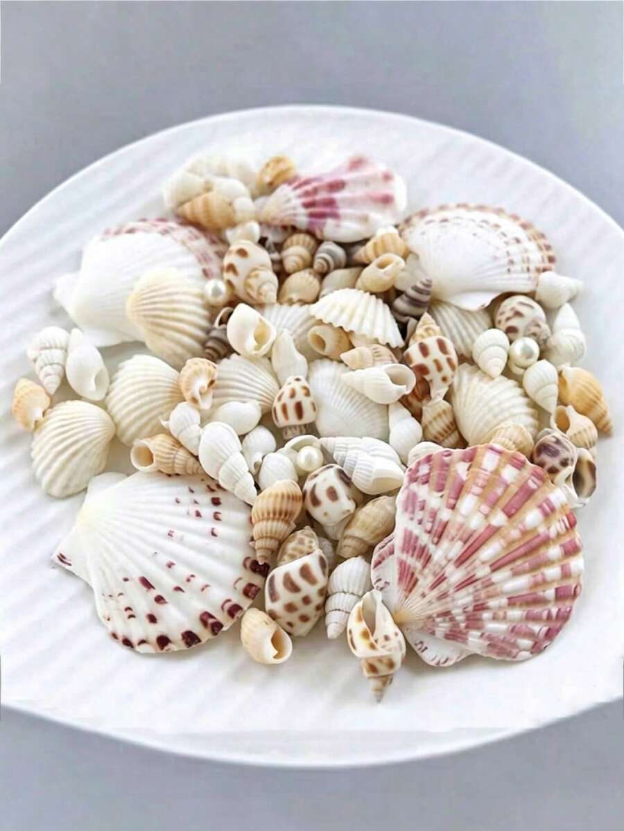 Aproximadamente 100 piezas/Caja Conchas y Caracoles Surtidos - Para Hacer Joyería DIY, Decoración de Acuario, Decoración del Hogar en el Baño, Velas de Fiesta Decoración de Boda, Manualidades - Multicolor - View 1