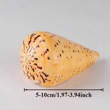 1pc Yellow Conch Shell | Random Yellow Corn Snail Shell Pattern, Suitable As Hermit Crab Replacement Shell, Aquarium Decoration, Ocean Theme Party Decor, And Beach Music Festival Decoration. - Random Pattern - View 3