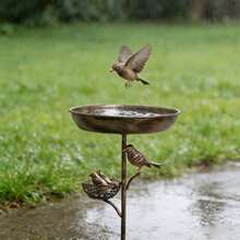 1件裝復古鐵製鳥食槽，附鳥巢裝飾，雙用途鳥浴盆與餵食器，易清洗野鳥托盤，觀鳥花園鳥站 - TY-TK97 - 查看 8