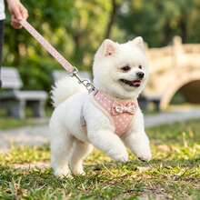 PETCHIC Cute Pink Polka Dot Pet Harness + Leash Set, Suitable For Spring Outdoor Camping, Walking Dogs/Cats, Adjustable Harness, Soft & Comfortable Pet Outdoor Activity Accessory - Pink - View 5